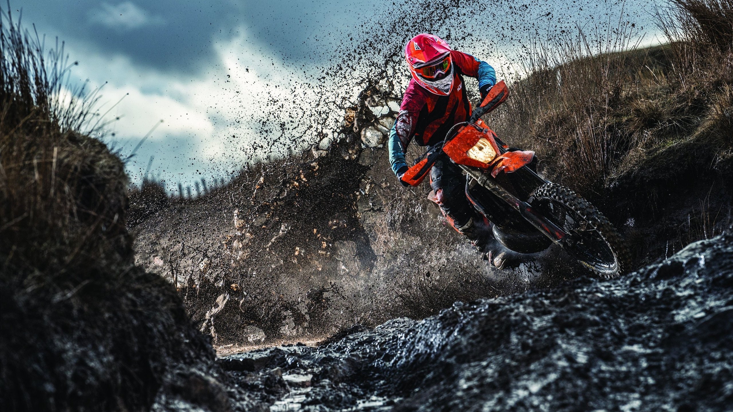 当小贾伦在总决赛接管比赛，雄鹿已为篮网备好镰刀